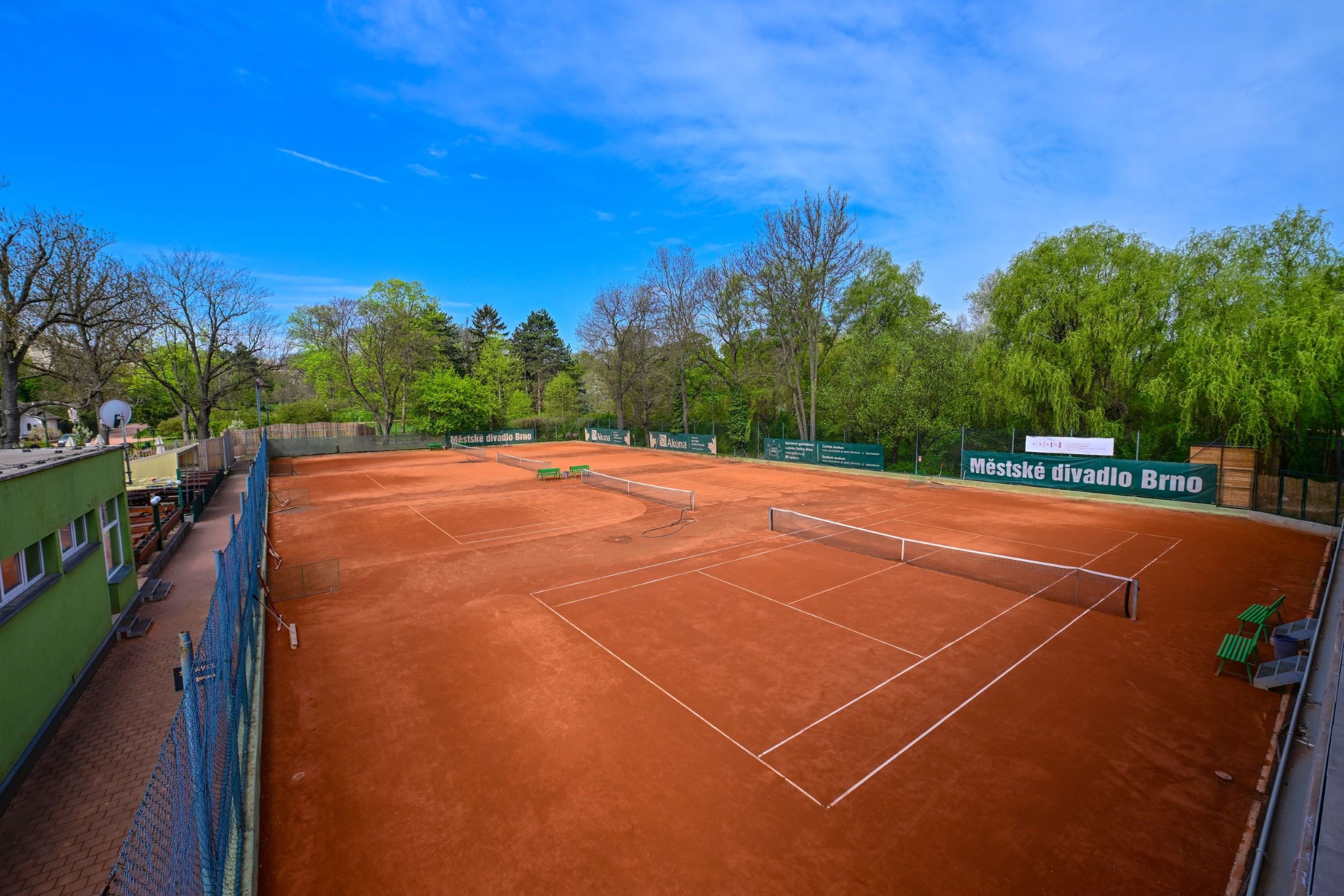 Trenéři